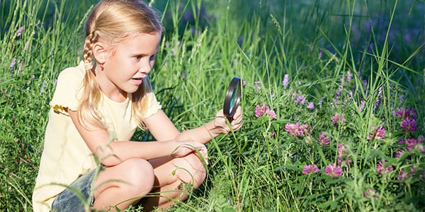 curious-nature-learner