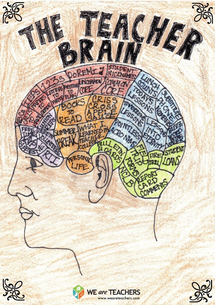 teachers-brains-infographic